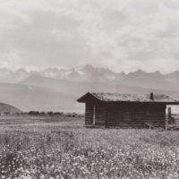 Sawtooth Valley summer