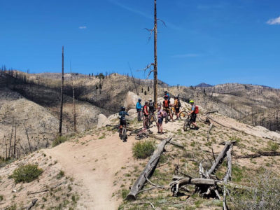 Group biking the trail, all stopped and gathered at a lookout in the burned forest.
