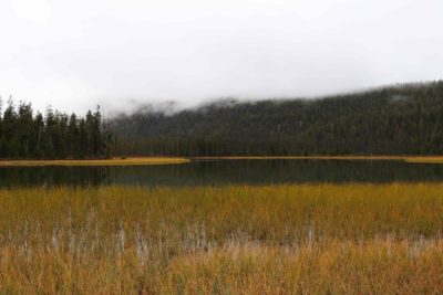 McDonald Lake boarded by clouds above and yellow marsh grass on the shores.