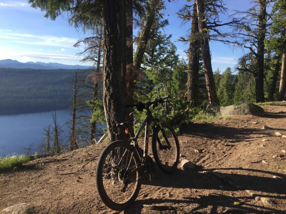 Bike leaning against a tree on a trail looking down at redfish lake