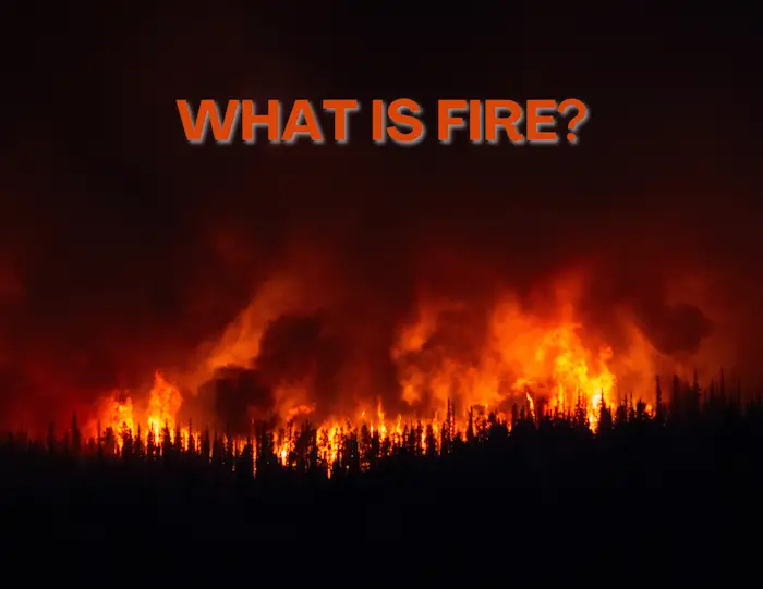 Wildfire flames at night with text "What is Fire?"