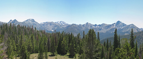 Blue sky and pine trees and mountains - View of the White Clouds Mountains ad Wildernesss