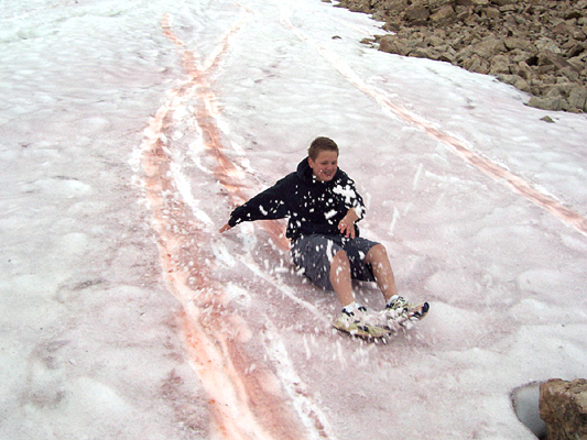 Person sliding down snowy hill of pink snow.