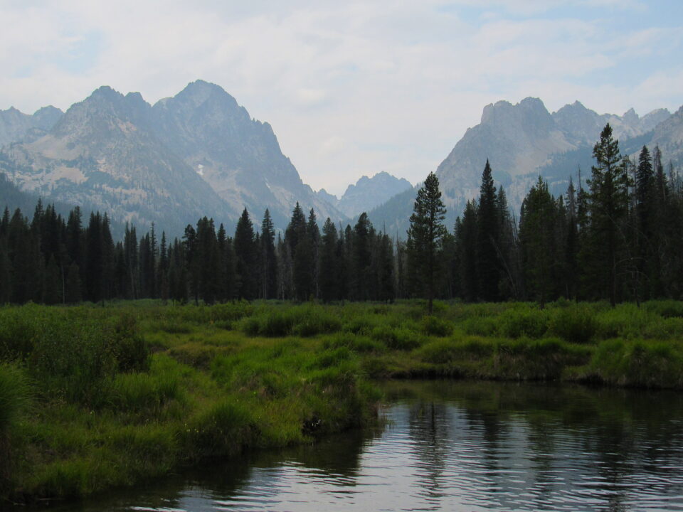 Sawtooth mountains, wetland, pine trees.